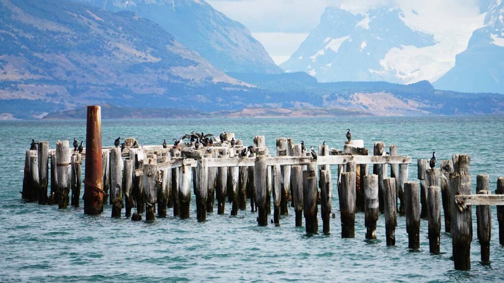 Torres del Paine Tours. Puerto Natales
