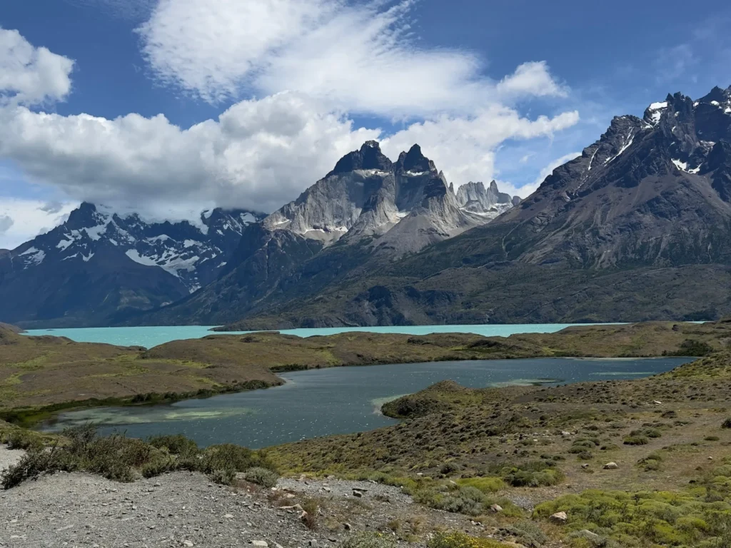 cuernos paine alsur